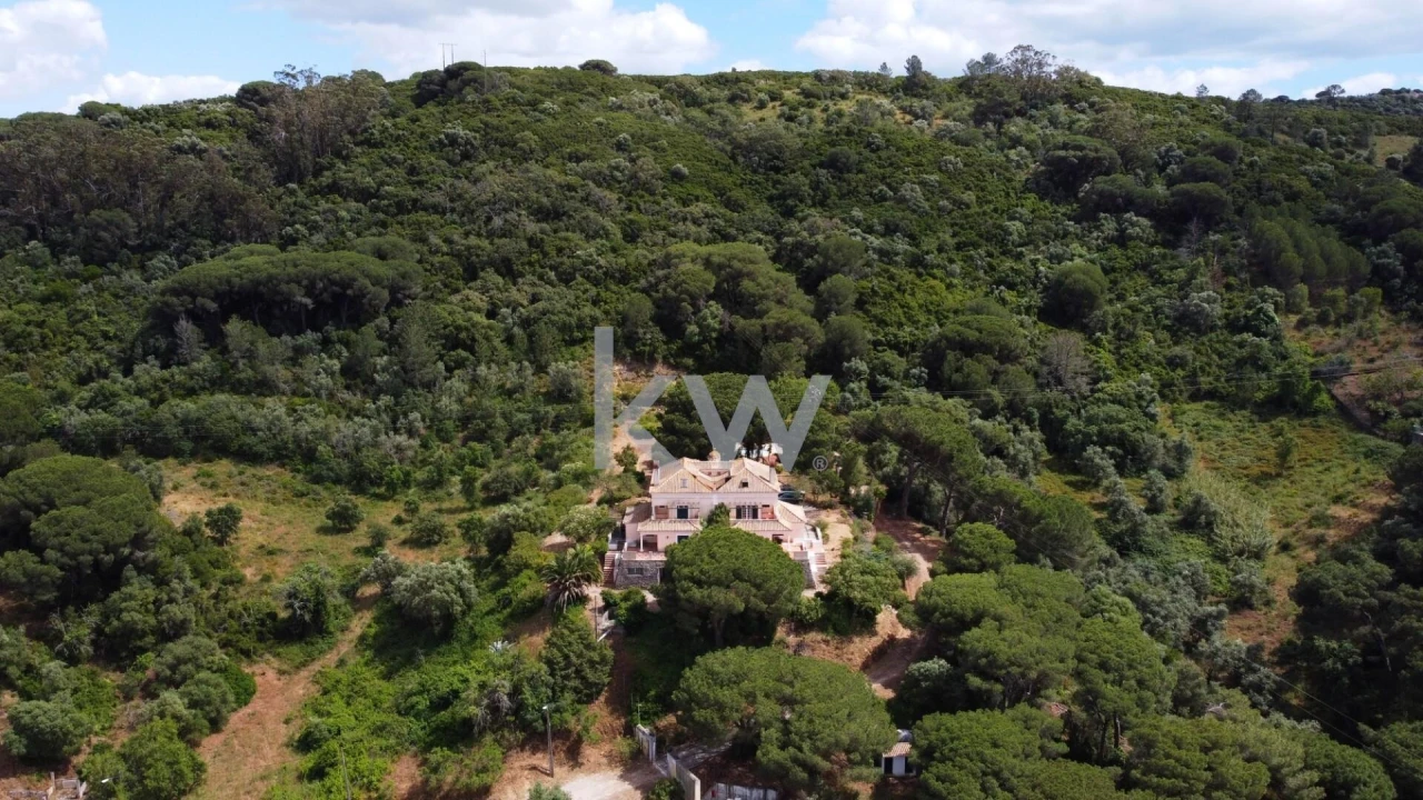 Quinta T5 para Venda em Quinta do Anjo Foto 3