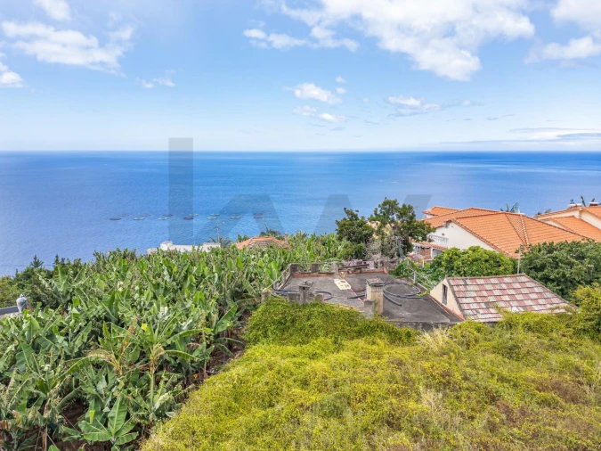 Terreno para Venda em Arco da Calheta Foto 33