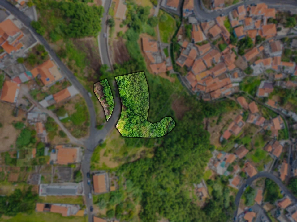 Terreno para Venda em Monte Foto 3