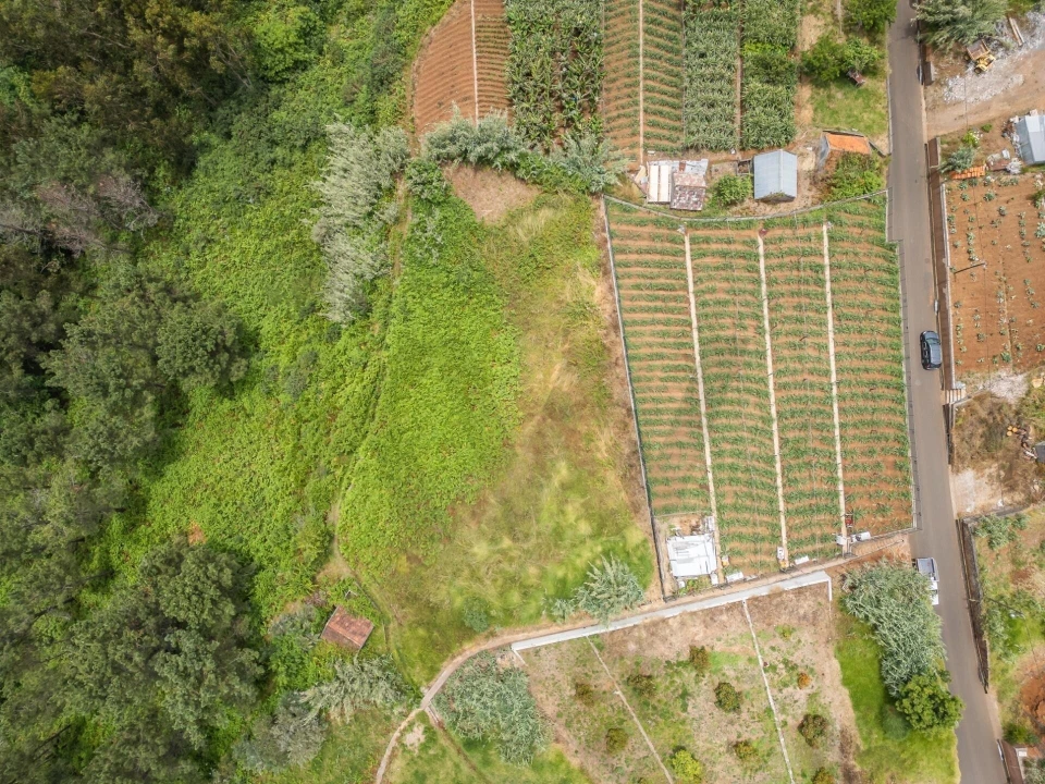 Terreno para Venda em Ponta do Sol Foto 27