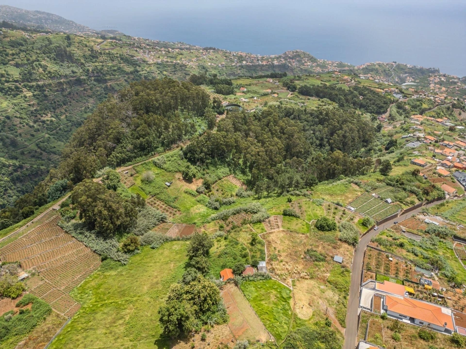 Terreno para Venda em Ponta do Sol Foto 13