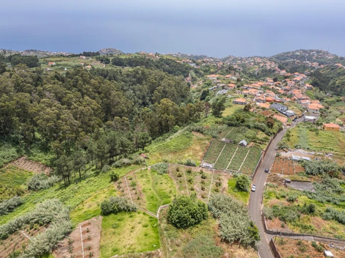 Terreno para Venda em Ponta do Sol Foto 7