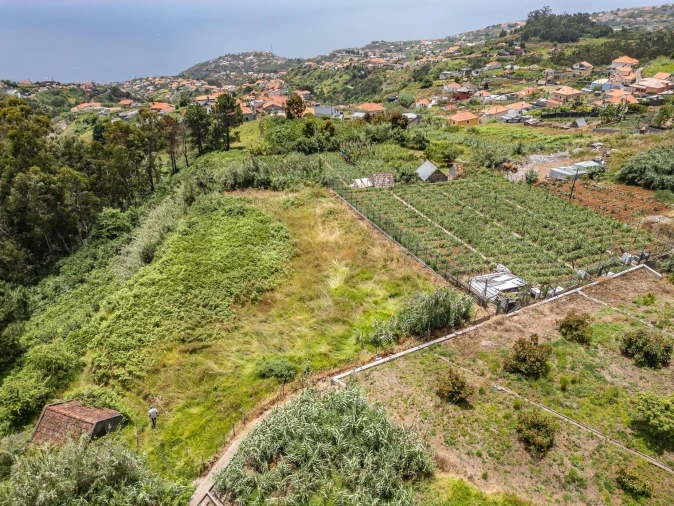 Terreno para Venda em Ponta do Sol Foto 18