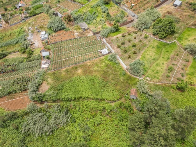 Terreno para Venda em Ponta do Sol Foto 31