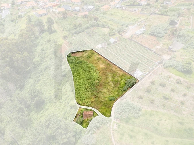 Terreno para Venda em Ponta do Sol Foto 3