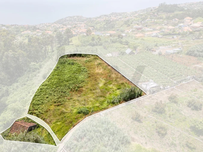 Terreno para Venda em Ponta do Sol Foto 19