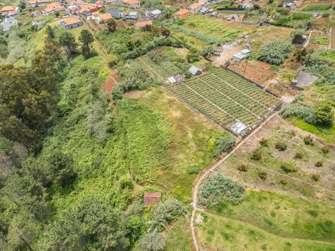 Terreno para Venda em Ponta do Sol Foto 4
