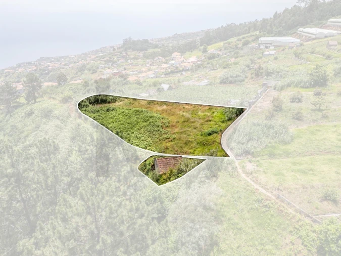 Terreno para Venda em Ponta do Sol