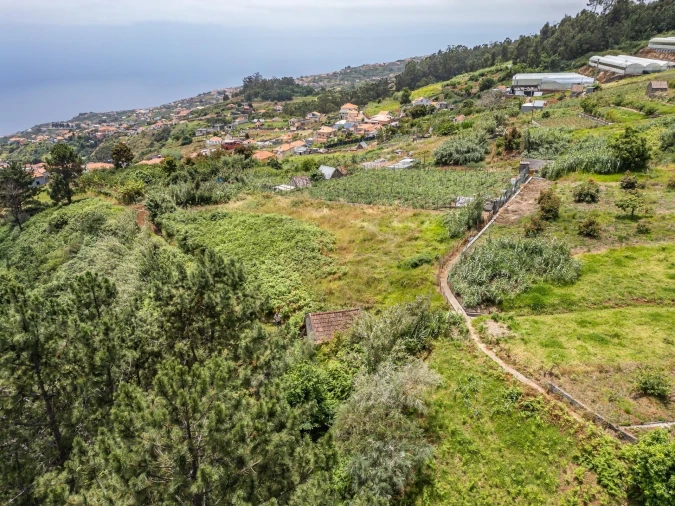 Terreno para Venda em Ponta do Sol Foto 2