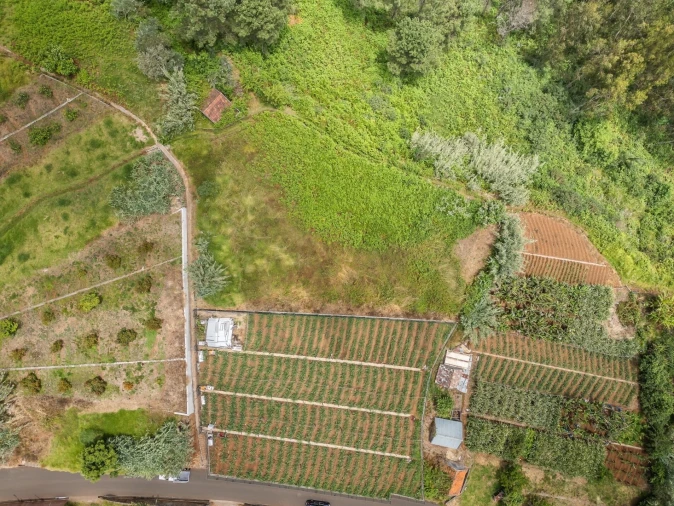 Terreno para Venda em Ponta do Sol Foto 29
