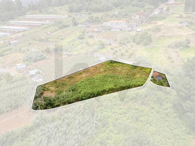 Terreno para Venda em Ponta do Sol Foto 26