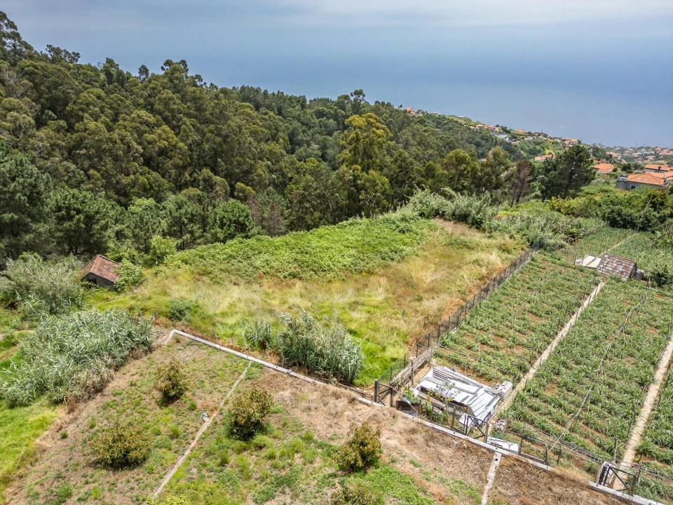 Terreno para Venda em Ponta do Sol Foto 23