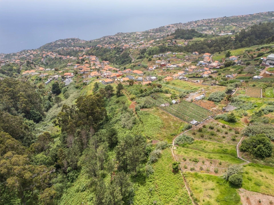 Terreno para Venda em Ponta do Sol Foto 5
