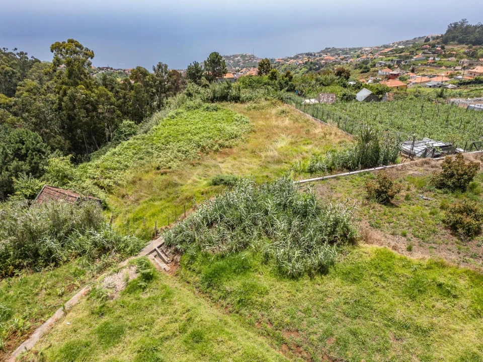 Terreno para Venda em Ponta do Sol Foto 20