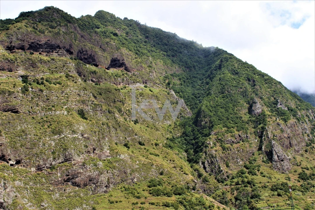 Quinta T4 para Venda em São Vicente Foto 48