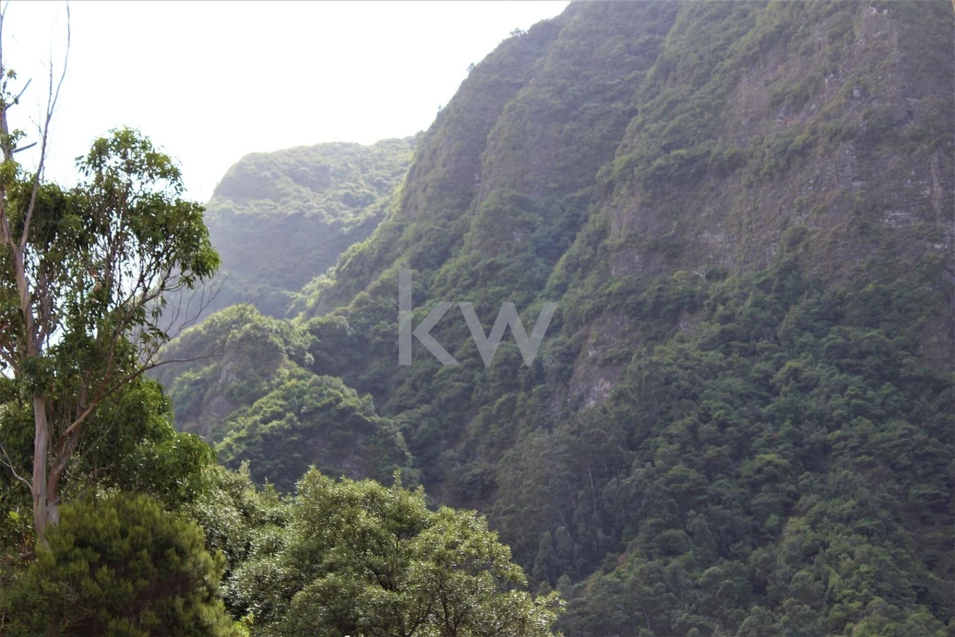 Quinta T4 para Venda em São Vicente Foto 46