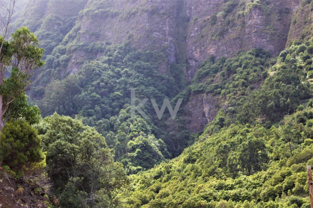Quinta T4 para Venda em São Vicente Foto 42