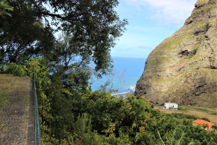Quinta T4 para Venda em São Vicente Foto 21