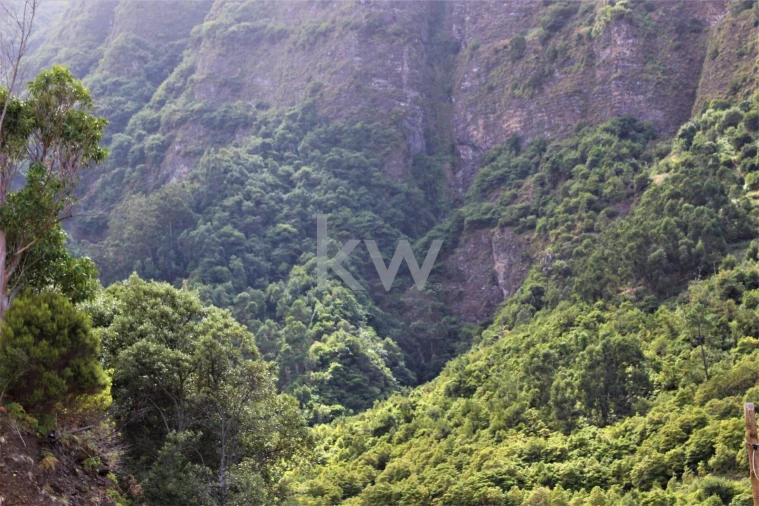 Quinta T4 para Venda em São Vicente Foto 42