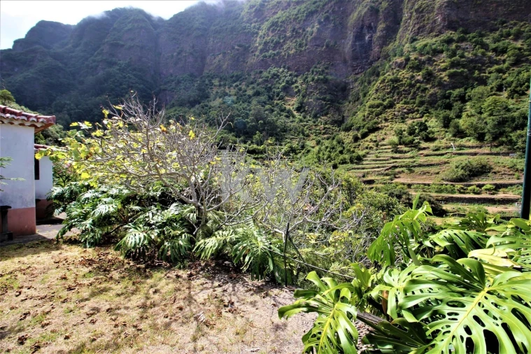 Quinta T4 para Venda em São Vicente Foto 27