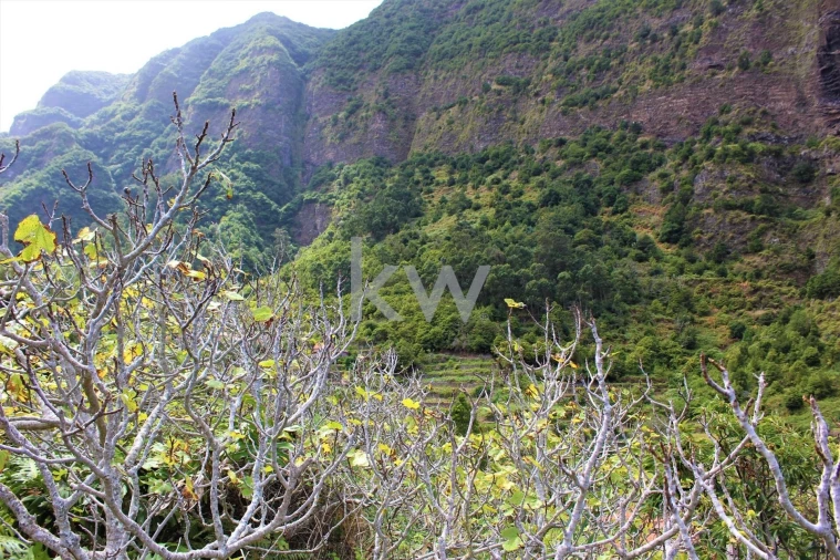 Quinta T4 para Venda em São Vicente Foto 13