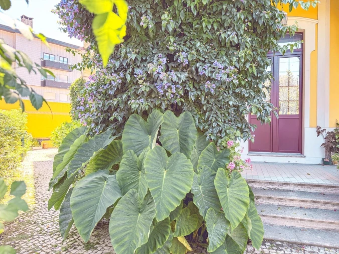 Moradia T9 para Venda em Esgueira Foto 78