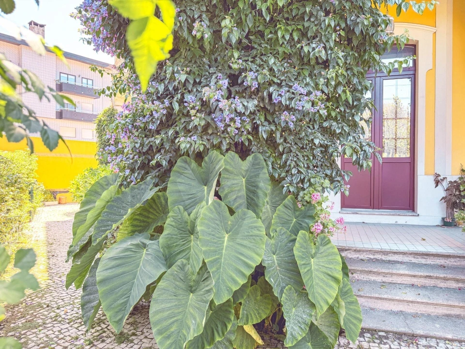 Moradia T9 para Venda em Esgueira Foto 78