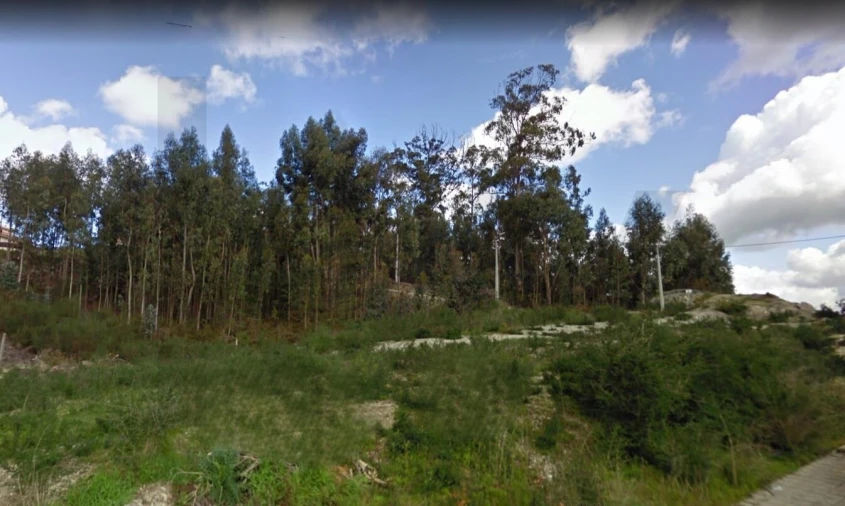 Terreno para Venda em Silvares, Pias, Nogueira e Alvarenga Foto 5