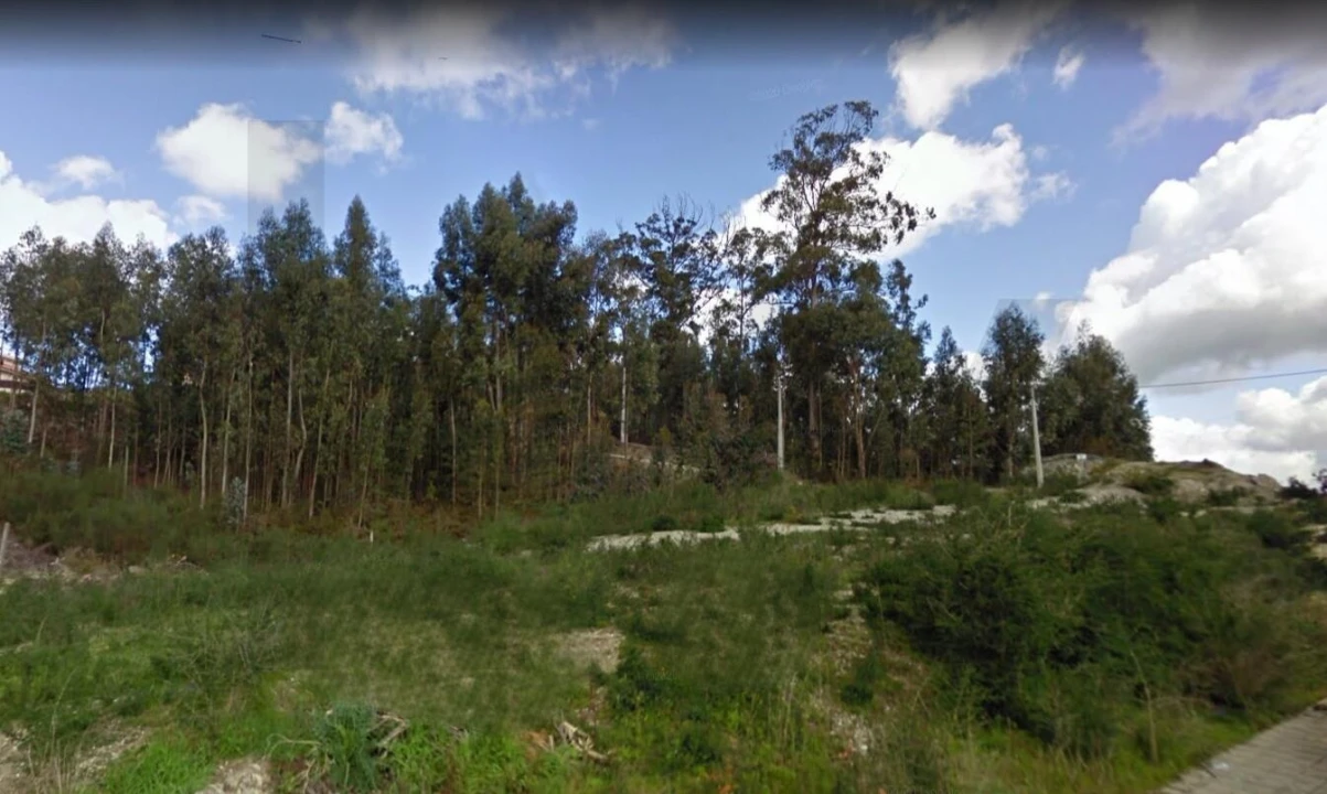 Terreno para Venda em Silvares, Pias, Nogueira e Alvarenga Foto 5
