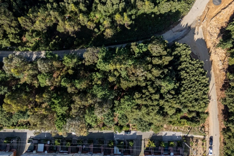 Terreno para Venda em Nogueira da Regedoura Foto 3