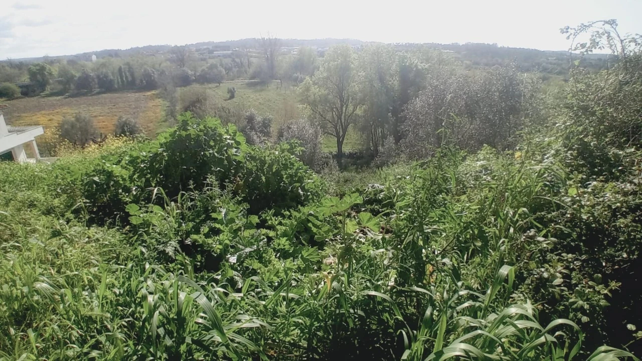Terreno para Venda em Soure Foto 3