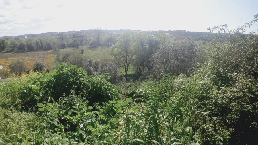 Terreno para Venda em Soure Foto 4