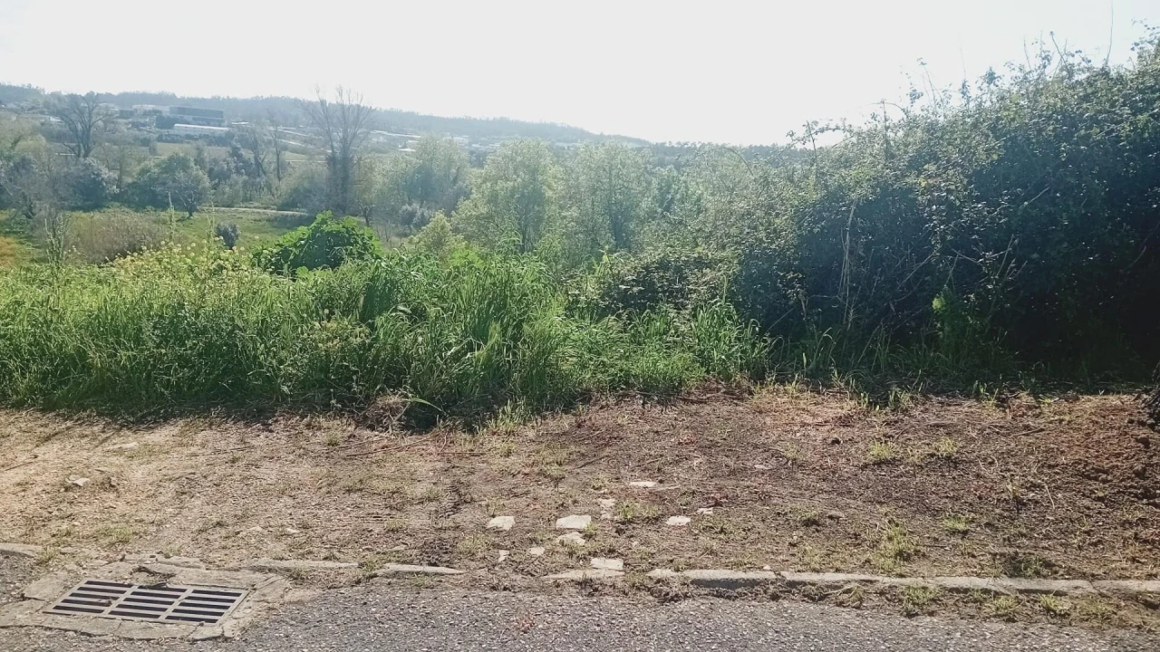 Terreno para Venda em Soure Foto 2