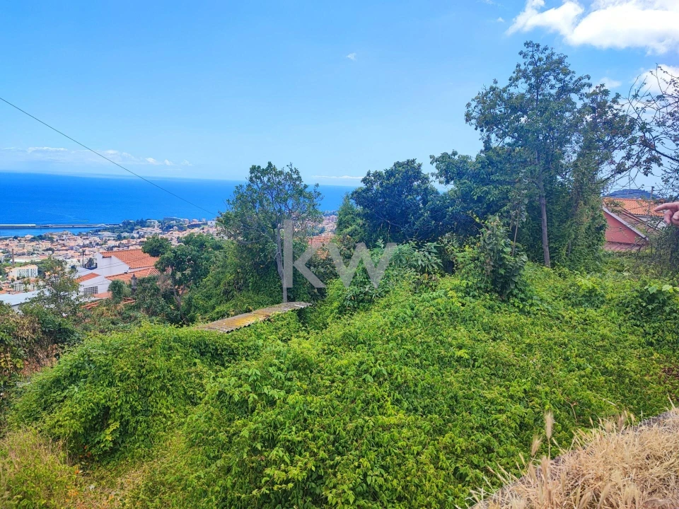 Terreno para Venda em Imaculado Coração de Maria Foto 7