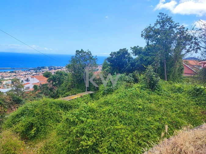 Terreno para Venda em Funchal (São Pedro) Foto 7