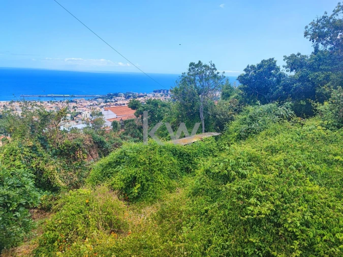 Terreno para Venda em Funchal (São Pedro) Foto 9