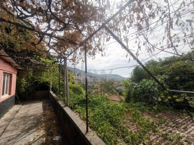 Terreno para Venda em Funchal (São Pedro) Foto 11