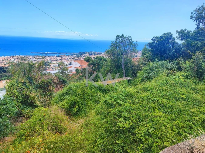 Terreno para Venda em Funchal (São Pedro) Foto 3