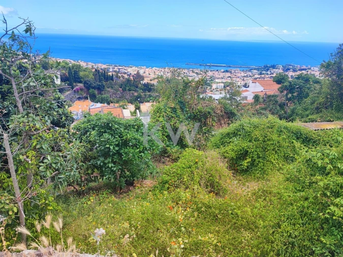 Terreno para Venda em Funchal (São Pedro) Foto 6