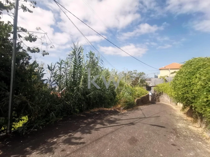 Terreno para Venda em Funchal (São Pedro) Foto 13