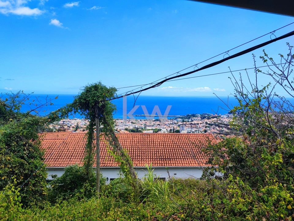 Terreno para Venda em Imaculado Coração de Maria Foto 10