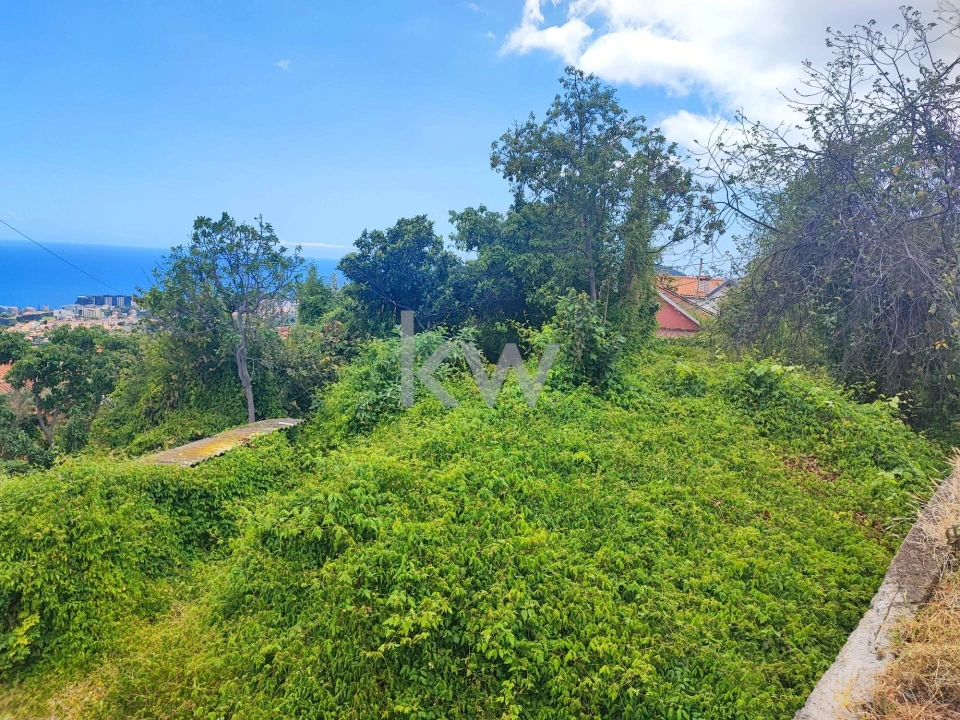 Terreno para Venda em Imaculado Coração de Maria Foto 8