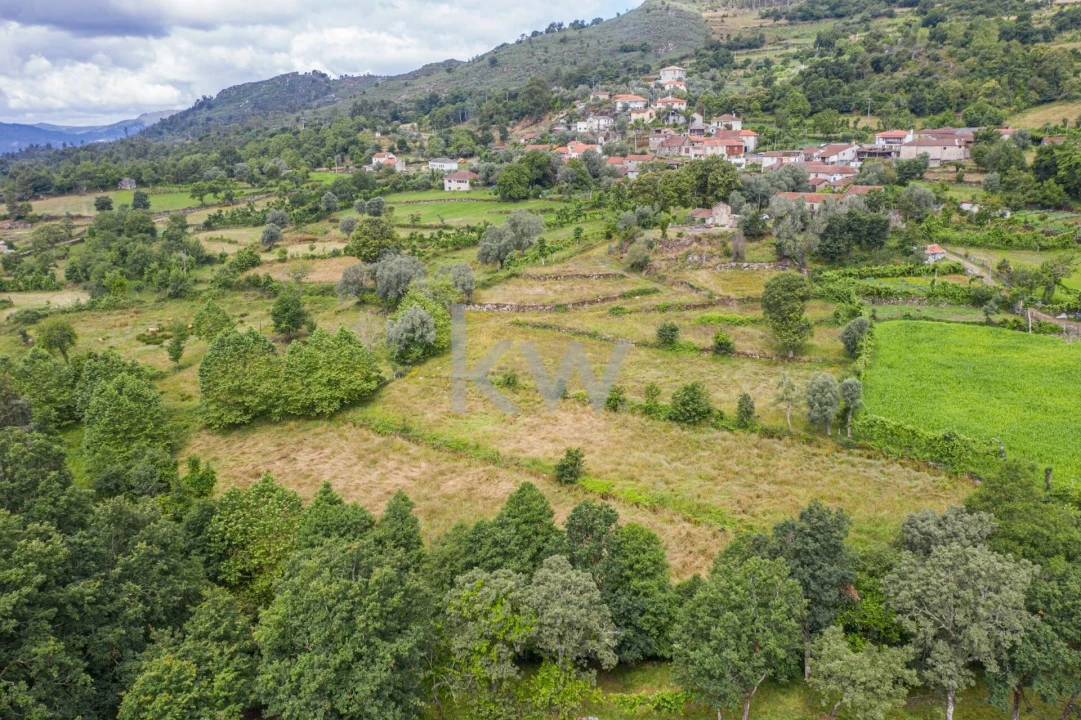 Quinta T3 para Venda em Rio Douro Foto 11