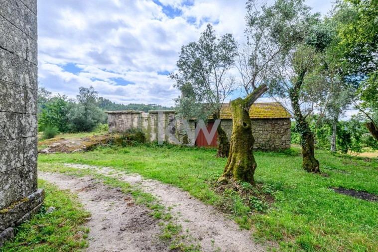 Quinta T3 para Venda em Rio Douro Foto 5
