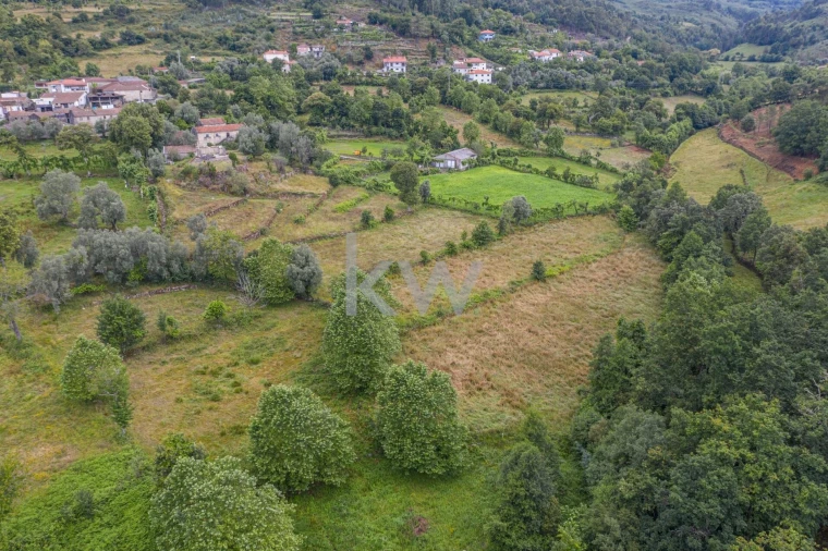 Quinta T3 para Venda em Rio Douro Foto 14