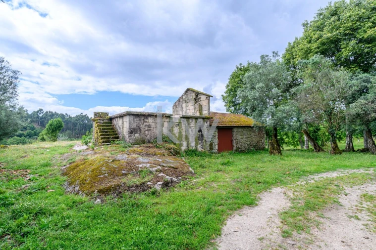 Quinta T3 para Venda em Rio Douro Foto 4