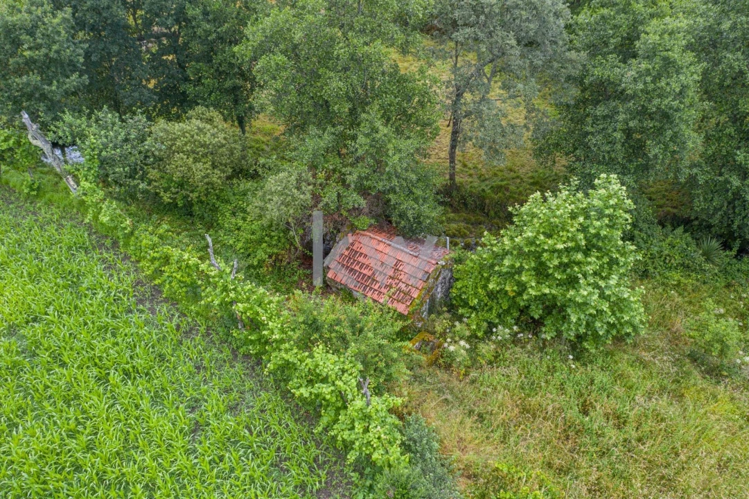 Quinta T3 para Venda em Rio Douro Foto 3