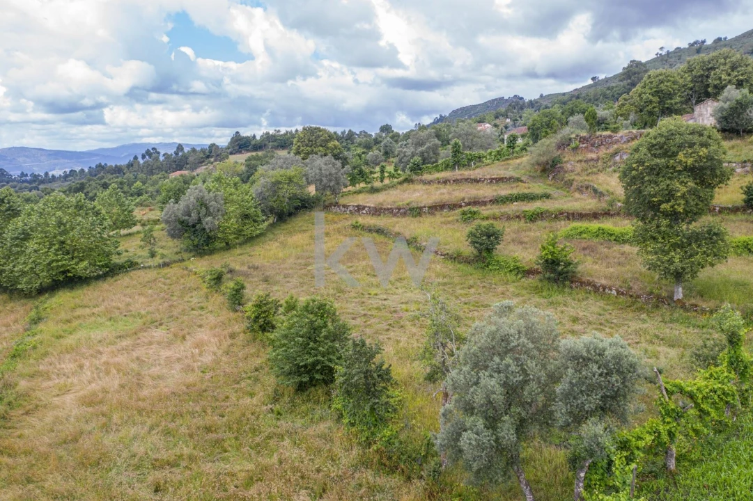 Quinta T3 para Venda em Rio Douro Foto 16