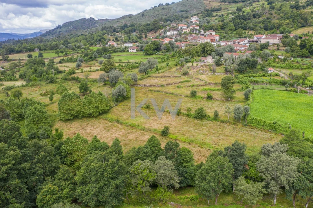 Quinta T3 para Venda em Rio Douro Foto 12