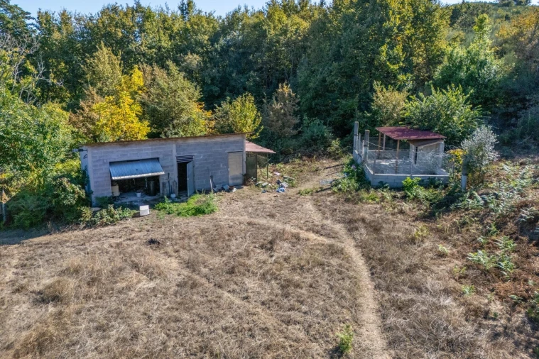 Moradia T4 para Venda em São Pedro do Sul, Várzea e Baiões Foto 48